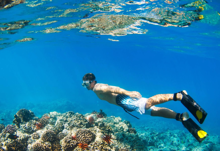 media.puntaest-slide-snorkeling