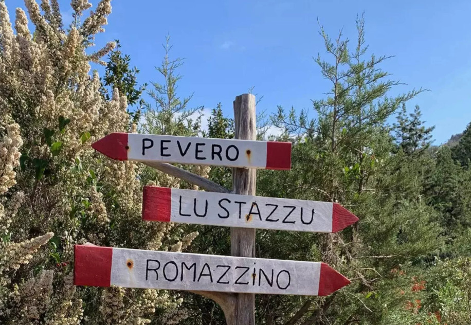 media.puntaest-slide-trail