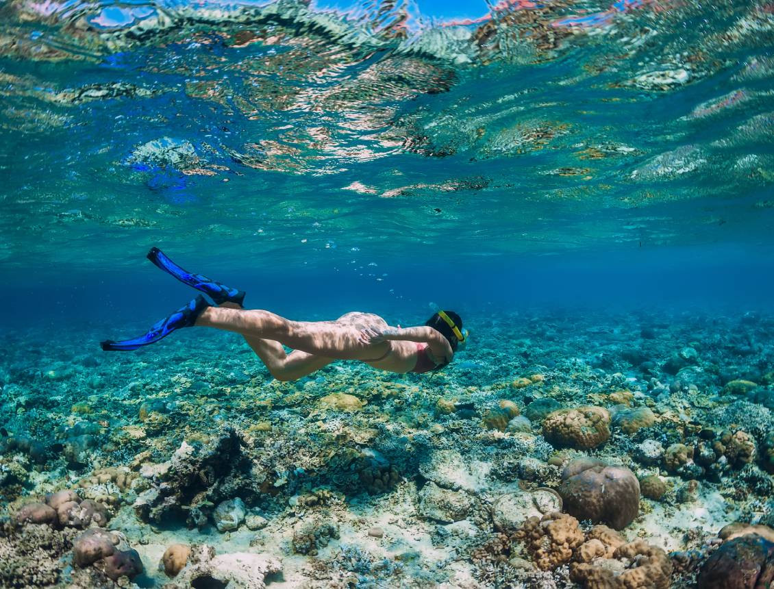 media.puntaest-snorkeling